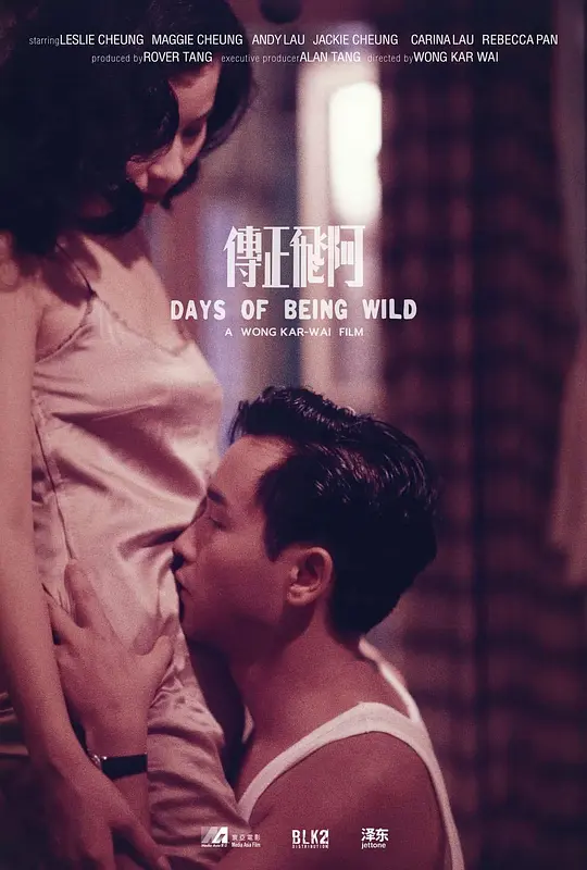 阿飞正传 阿飛正傳